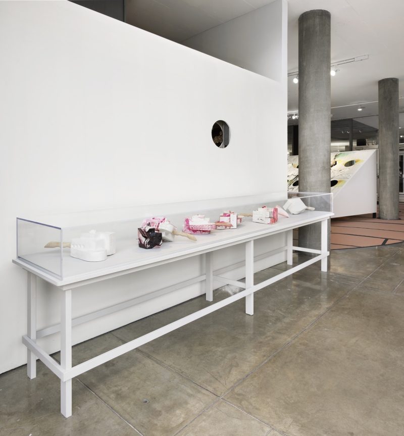 CCVA | This Machine Creates Opacities: Robert Fulton, Renée Green