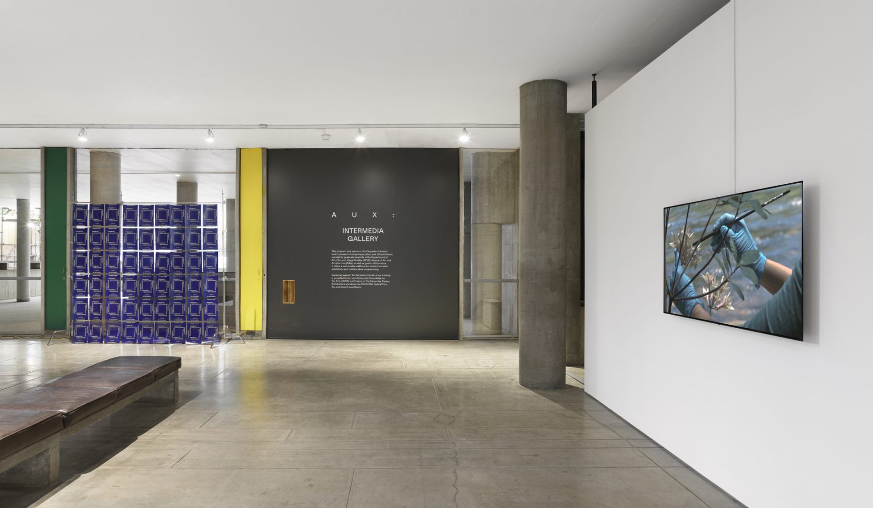 CCVA | Cinematic Involutions